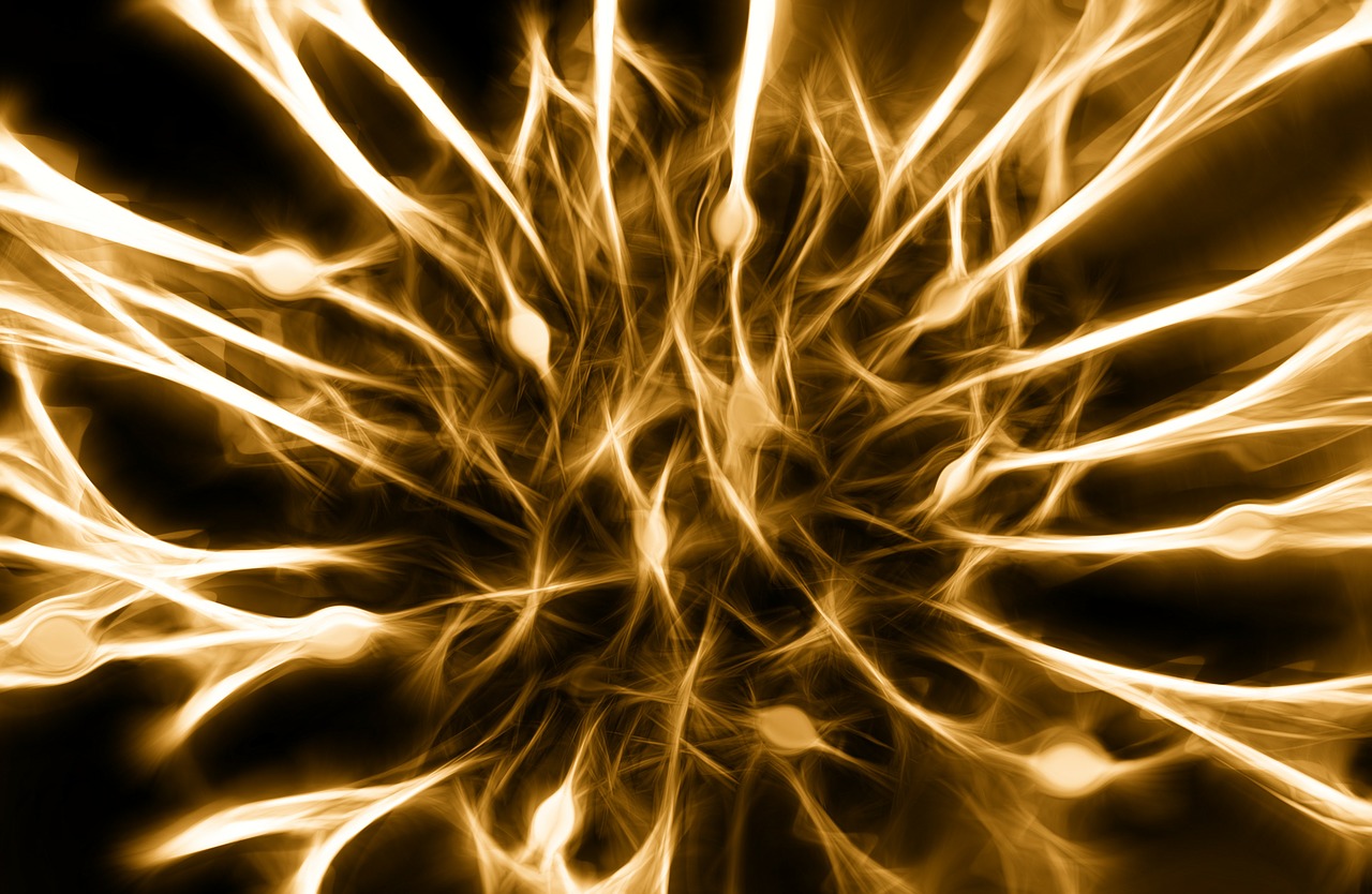 Le futur proche sera neuronal et synaptique
