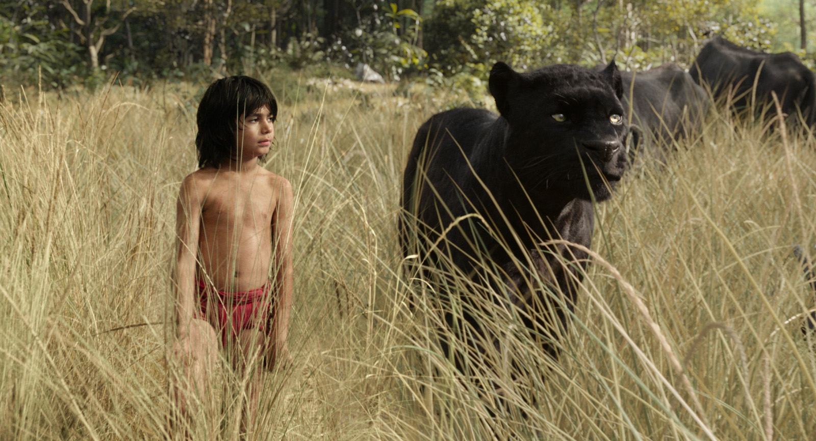 Cinéma : Le Livre de la jungle, Desierto, Les Ardennes… les sorties de la semaine