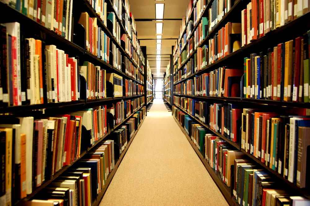 Plus de bibliothèque, de l'ADN pour Verdun et une Super Mamie